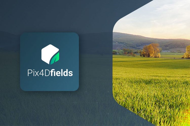 Pis4D Field para agricultura de precisión