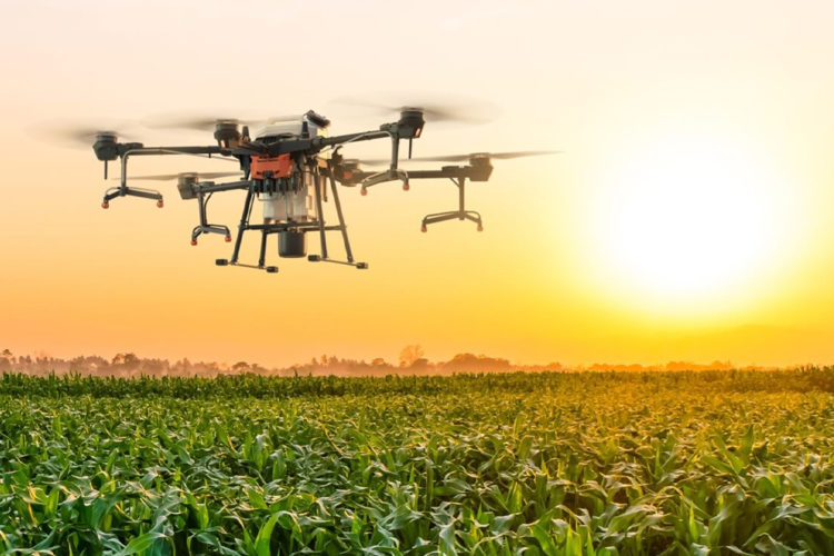 Tecnología dron en agricultura de precisión copia